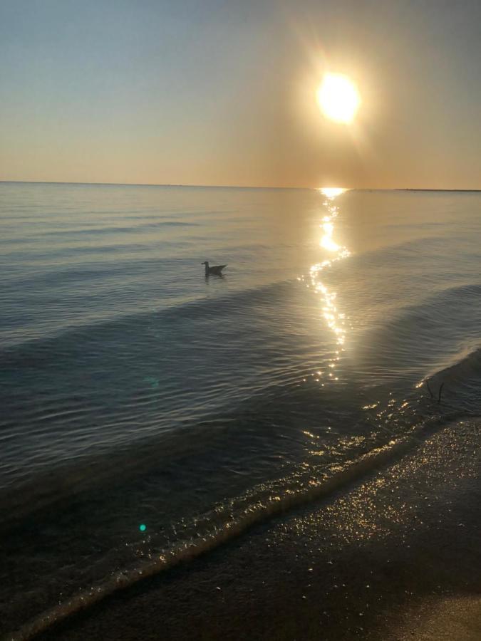 Primera Linea De Playa A 1Km Del Puerto De Denia Zewnętrze zdjęcie